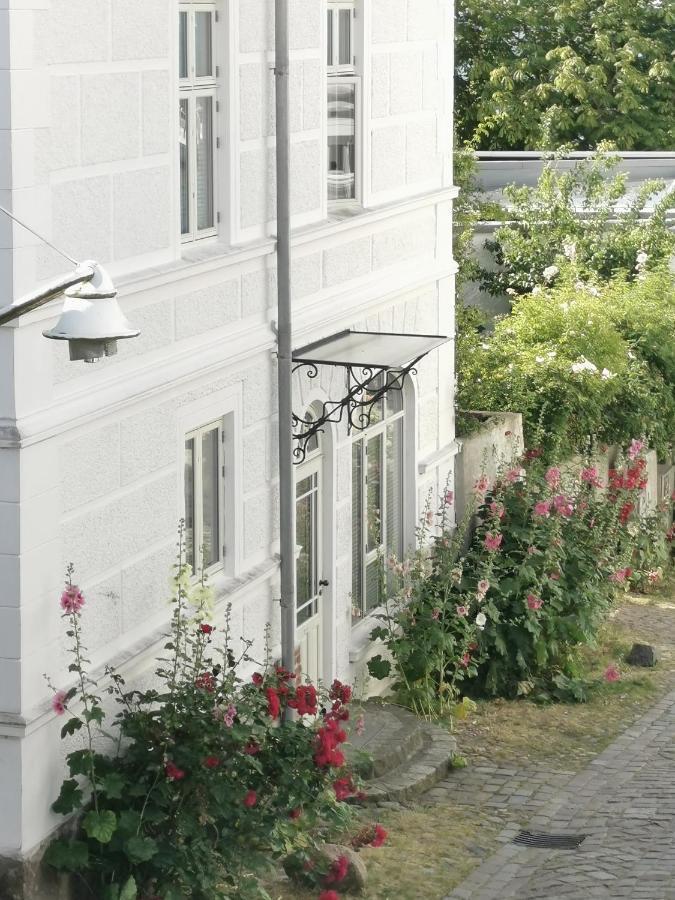 Homelig Altstadt Ferienwohnungen ซาสนิทซ์ ภายนอก รูปภาพ